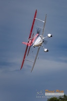  PITTS S1
